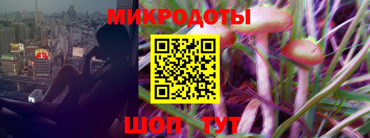 Галлюциногенные грибы Cubensis  Вход с VPN  Новокубанск 